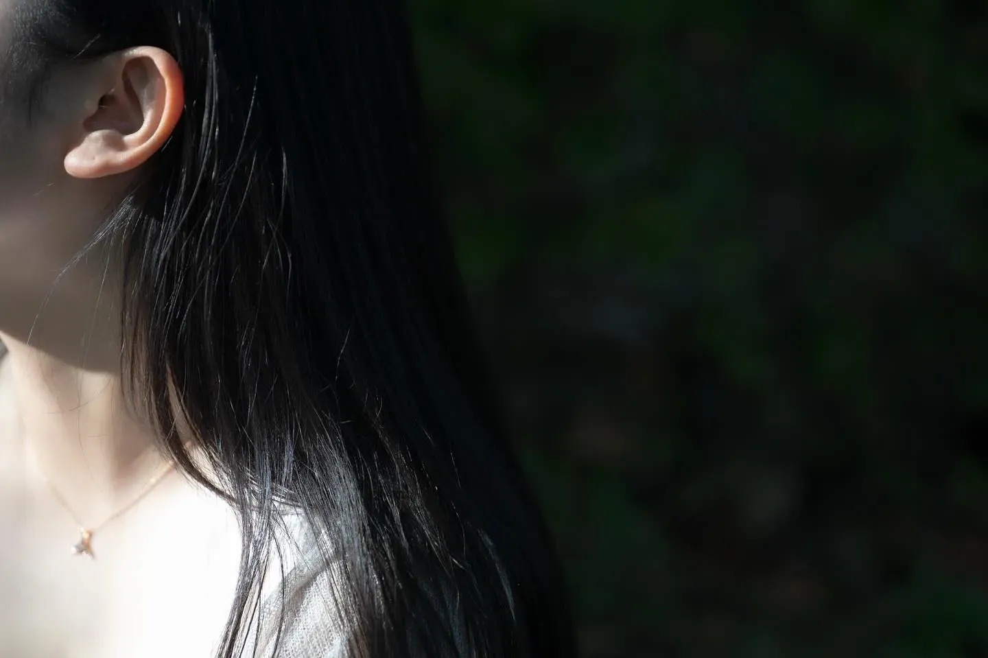 Profile of a figure against a dark forest